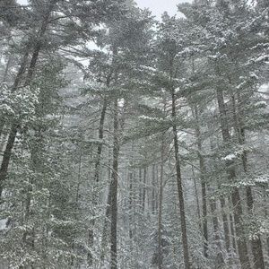 Meet your Posher, Jen